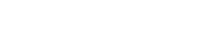 Bexar Logo